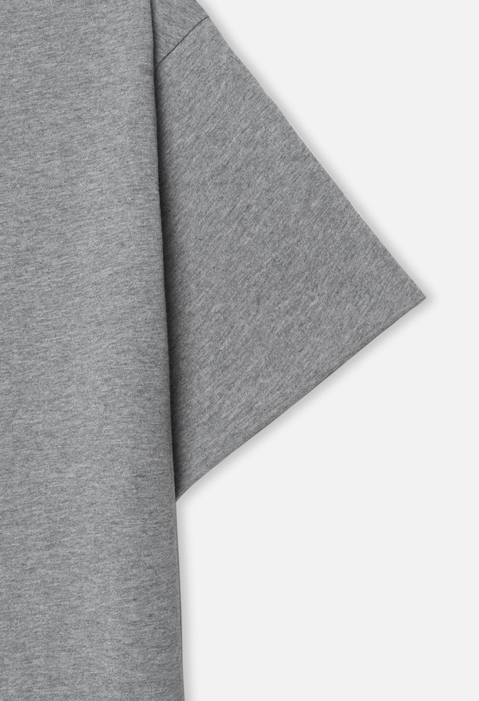 Anti-Expo Tee / Heather Grey