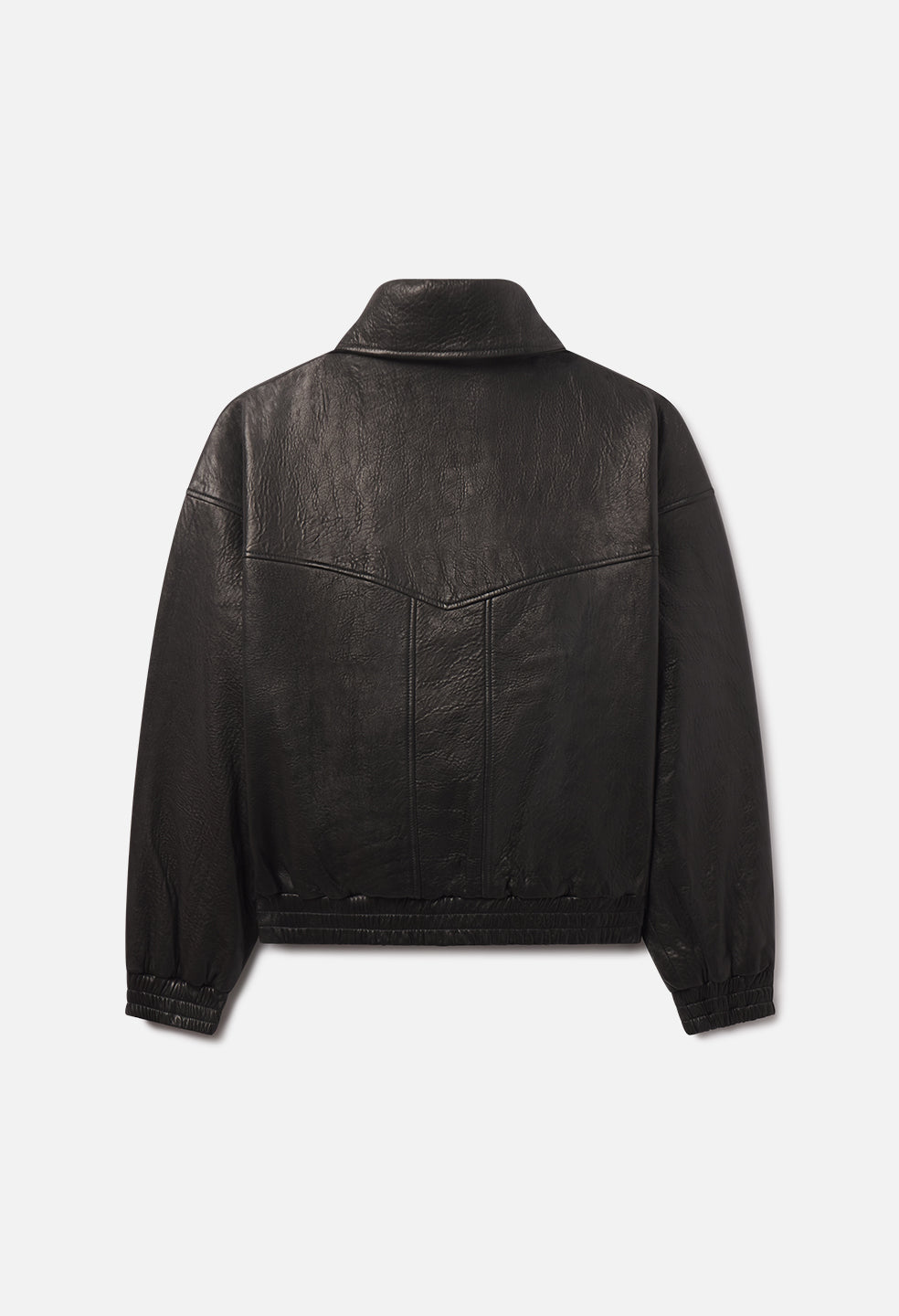Leather Lautner Jacket / Black